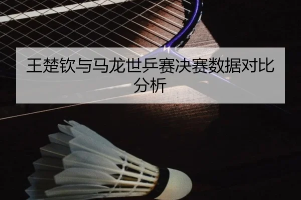 王楚钦与马龙世乒赛决赛数据对比分析