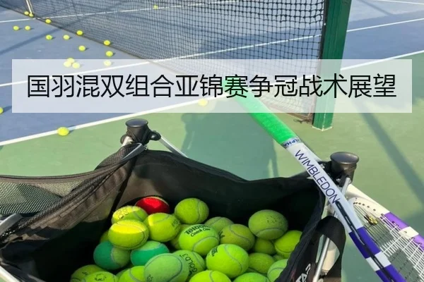 国羽混双组合亚锦赛争冠战术展望